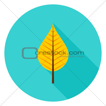 Autumn Leaf Circle Icon