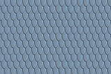 Fish scales background
