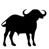 black and white silhouette of buffalo