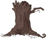 Tree Stump 