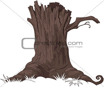 Tree Stump 