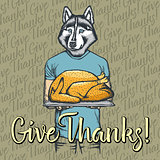 Vector illustration of Thanksgiving husky dog concept