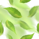 Green leaves seamless pattern. Blurred veector leaf on watercolor imitation background