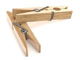 Two wooden clothespins. 3D