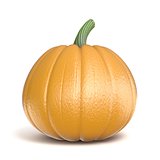 Pumpkin 3D render illustration