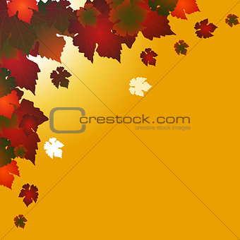 Autumn square background with red leafs on yellow