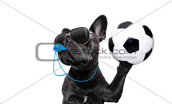 referee dog with whistle