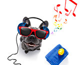 dog with music earphones