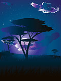 African Night Landscape