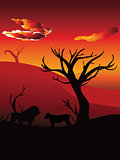 African Sunset with Lion