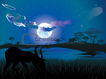 Night Landscape with Antelopes