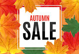 Shiny Autumn Leaves Sale Banner. Business Discount Card. Vector Illustration