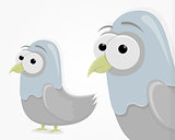 Sad funny pigeon in cartoon style. Cartoon character for animation.