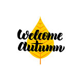 Welcome Autumn Lettering