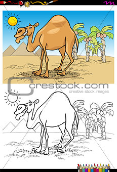 cartoon camel on desert coloring book