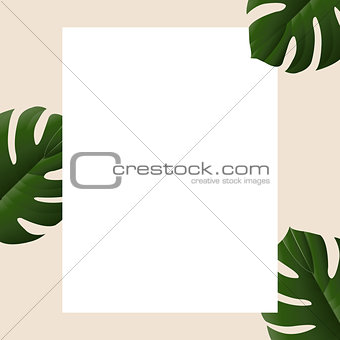 Summer Banner With Tropical Leaves