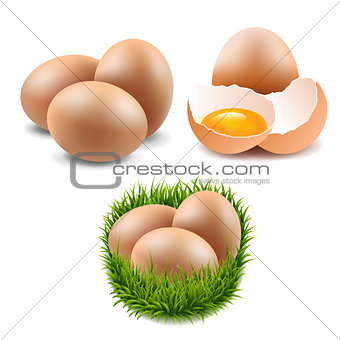 Eggs Collection