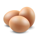 Eggs Set