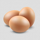 Eggs Set