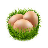Eggs Set With Grass