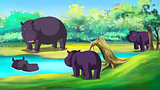 Group of Hippopotamuses by the River