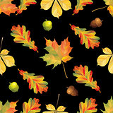 Seamless pattern with autumn leaves and ancorns on black background. Vector