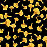 Mushroom chanterelle seamless pattern on black background. Vector
