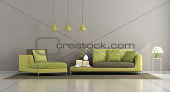 Modern green and brown living room