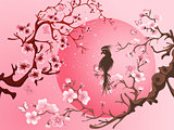 Cherry blossom tree with bird.