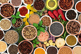 Fresh and Dried Herbs and Spices