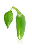 Fresh jalapeno chili pepper with green leaf.