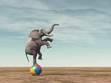 Surreal image of an elefant balancing