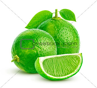 Lime isolated on white background. Group of whole and cut fresh limes with leaves over white background