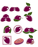 Set of plums