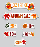 Abstract Vector Illustration Autumn Sale Background with Falling