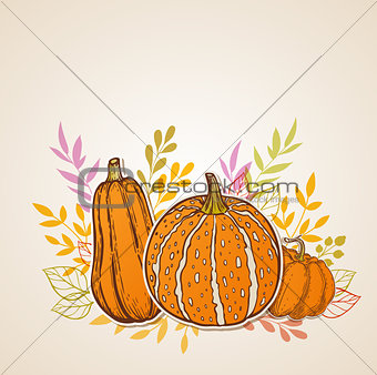 Autumn background with orange pumpkins