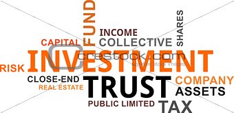 word cloud - investment trust