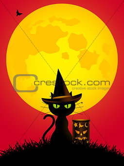 Halloween cat and lantern cartoons style