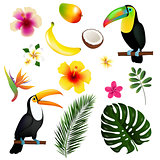 Tropical Leaves Toucan And Fruit