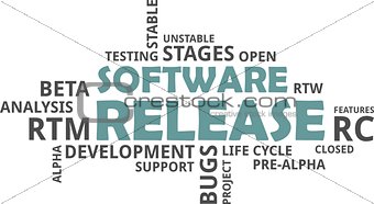 word cloud - software release