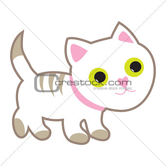 Cute white cat with yellow eyes