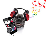 dog listening to music
