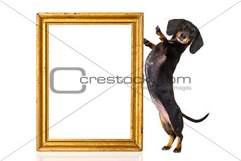 dog with golden frame