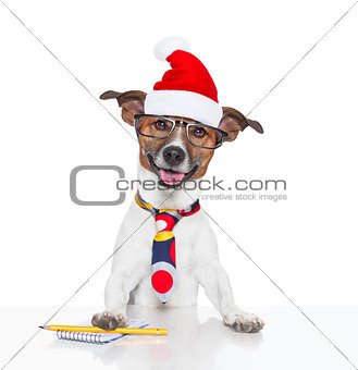 dog at office with santa hat for christmas 