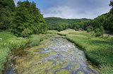 Creek, Landscape of Eifel, Germany