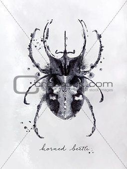 Monotype horned beetle black