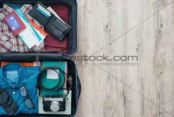 Traveler's bag