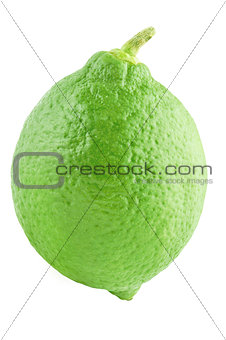 One lime isolated on white