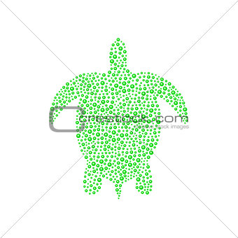 Turtle in green design