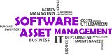 word cloud - software asset management